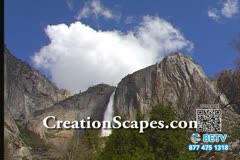 TV Content Image
